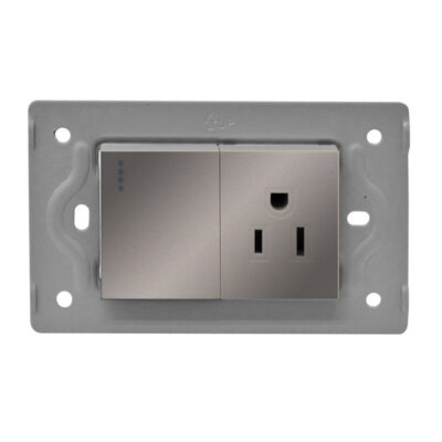 TOMA SWICHE LUXOR GRIS INTERCAMBIABLE SIN TAPA DUKE ENERGY (V3-018)